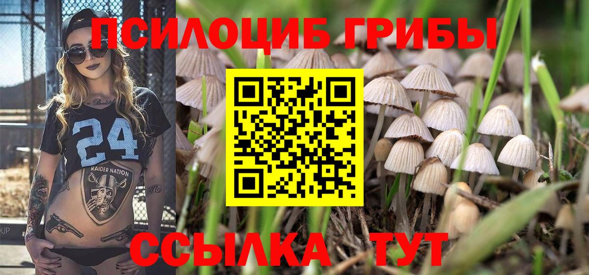 Галлюциногенные грибы MAGIC MUSHROOMS  купить  сайты  Троицк  Вход с VPN 