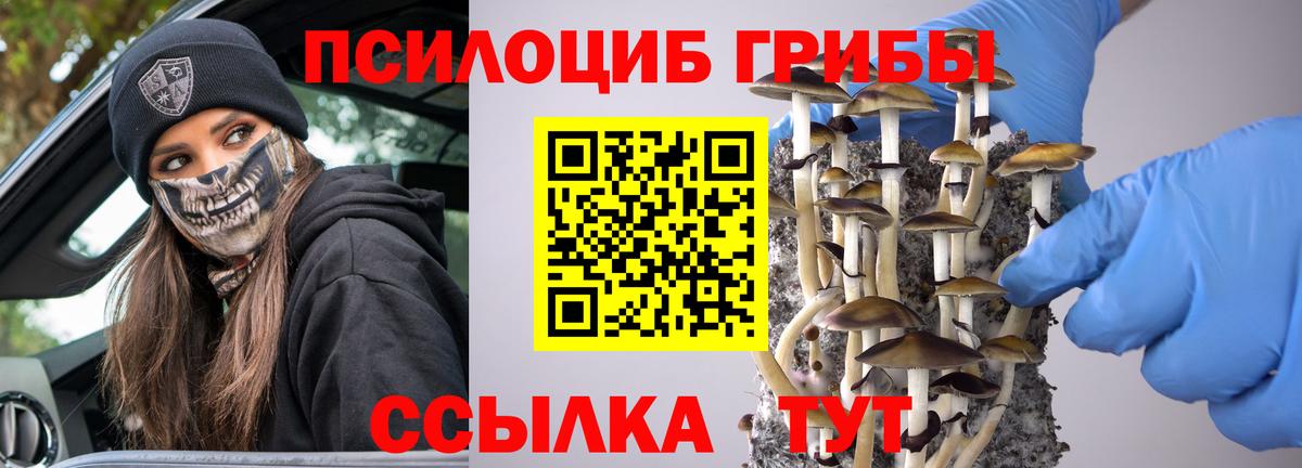 Галлюциногенные грибы Psilocybine cubensis Троицк